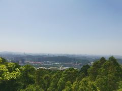 -天鹿湖森林公园