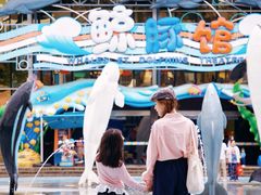 -海合安成都极地海洋公园