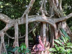 -中国科学院西双版纳热带植物园