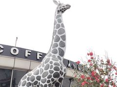 -湖州太湖旅游度假区-月亮广场