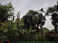 -云南民族村