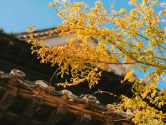 -长春观