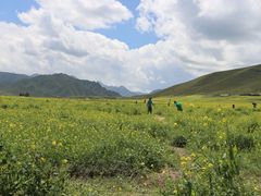 -扁都口生态休闲旅游区