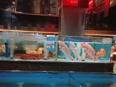 -阿伟海鲜楼·福建菜(延寿店)