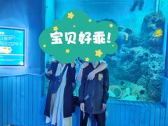 -石家庄海洋公园