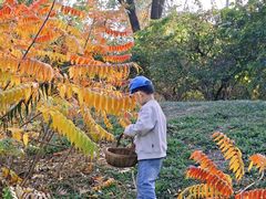 -北运河水利风景区
