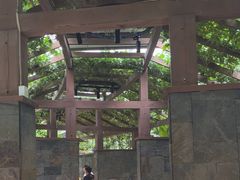 -金稼园·金平湖农家菜