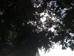 -群众牛肉小点(蚵仔煎)