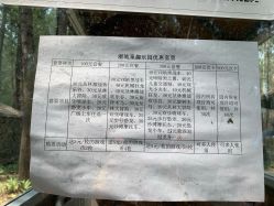 -汉石桥湿地童趣乐园