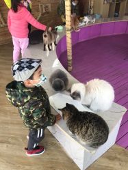 -萌宠亲子动物乐园(槐房万达店)