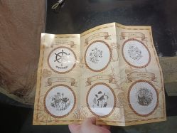 -Zoolung Zoolung动物主题公园(海信广场店)