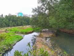 -大亚湾红树林城市湿地公园
