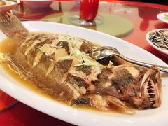 -青岛蓝海大饭店·渔歌舫(李沧店)