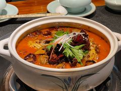 -先机泉水鸡汤(南山老君洞店)