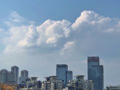 -重庆市江北嘴中央商务区中央公园