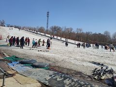 -东方巨龟苑景区