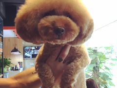 -八公叔叔宠物美容连锁(春申店)