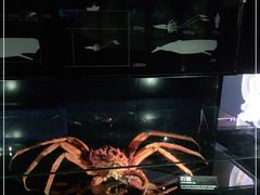 -同济大学四平路校区深海探索馆