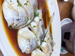 -渔满仓海鲜渔家(象山二店)