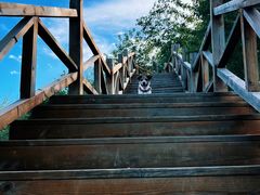 -大岭沟猕猴桃谷风景区