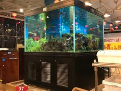 -御唐府海珊瑚主题餐厅