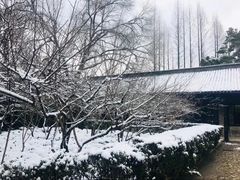 -上海市龙华烈士陵园