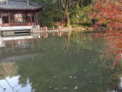 -汇龙潭
