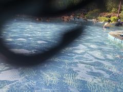 -汤峪温泉碧水湾