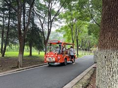 -合肥野生动物园