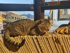 -玛吉阿米·餐吧