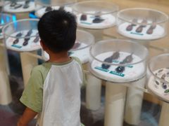 -陕西自然博物馆