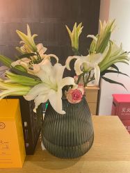 -FineYoga梵音瑜伽·普拉提