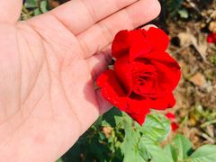 -漩门湾国家湿地公园