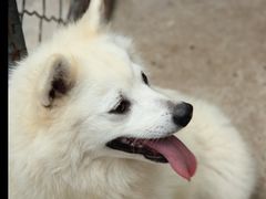 -中农大我爱我爱24h动物医院·中医针灸·猫专科·骨科医疗中心(双井店)