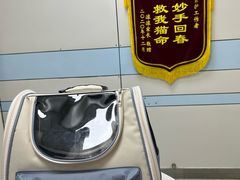-中农国际动物医院24小时·猫科·骨科·急重症中心