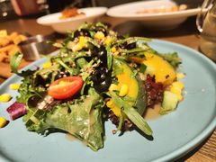 -百好乐宠物友好餐厅(朝外大街店)