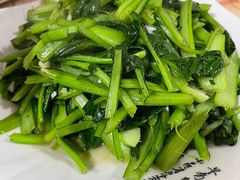 -煲来饱去冷水鱼