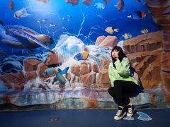 -芜湖新华联大白鲸海洋公园