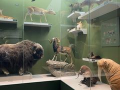 -国家自然博物馆