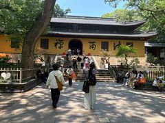 -普陀山风景名胜区-法雨禅寺