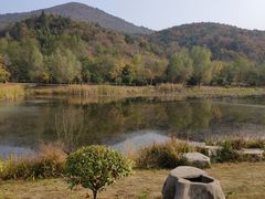 -石塘人家