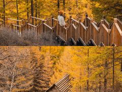 -苏木山森林公园