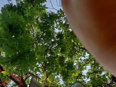 -狼牙山风景区