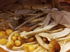 菌菇拼盘-老码头火锅(骡马市店)