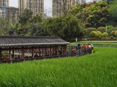 -龙头寺公园