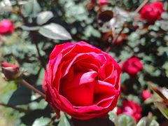 -人民公园(罗湖区)