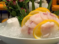 -鲐赏河豚(长寿店)