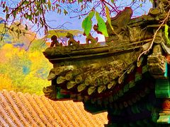 -香山公园