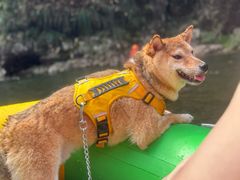 -安吉龙王山峡谷漂流