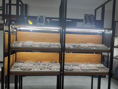 -五派眼镜(沙河店)